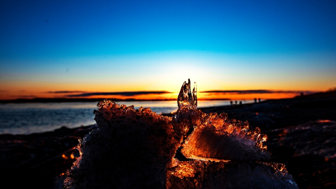 喜家德虾仁水饺(九马路店)餐厅图片