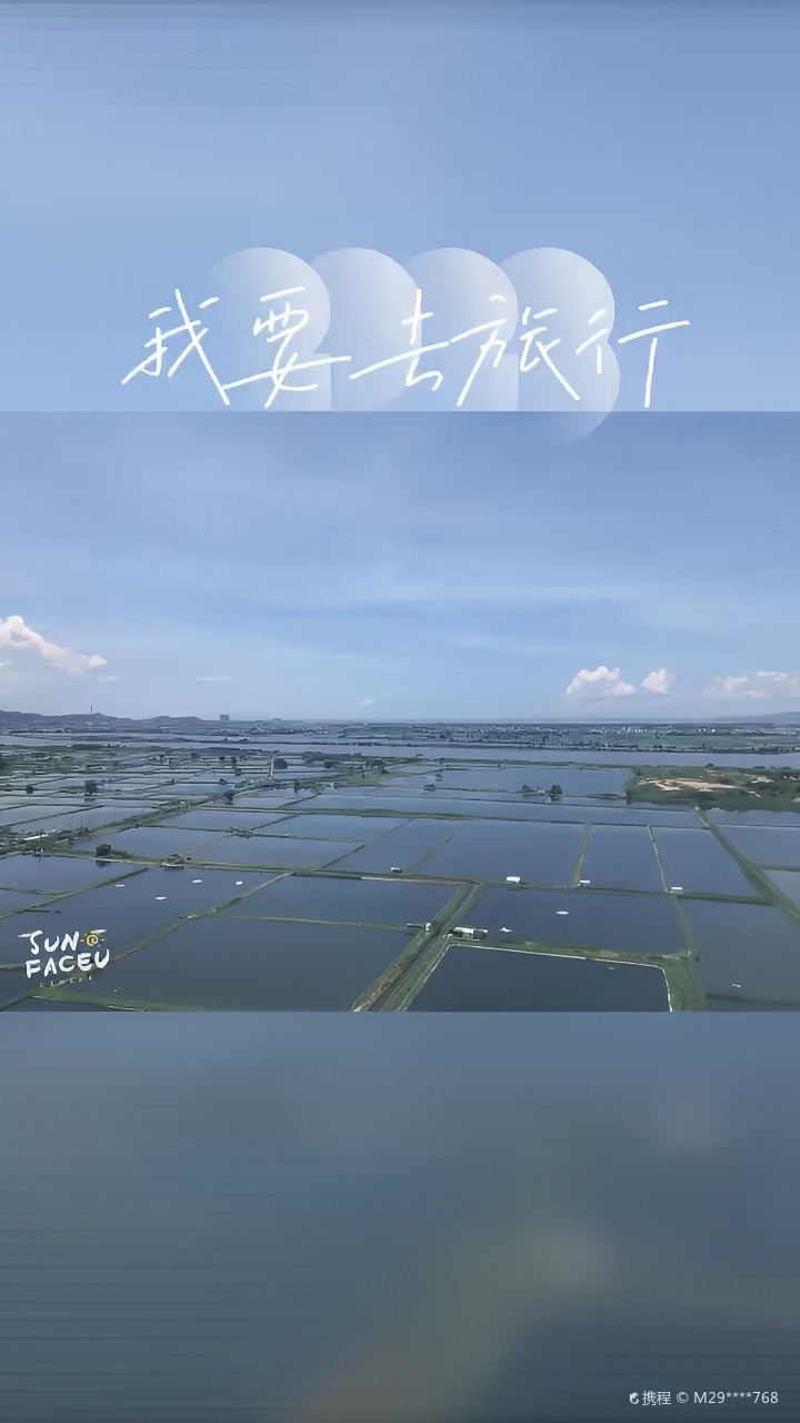 夏日的多巴胺