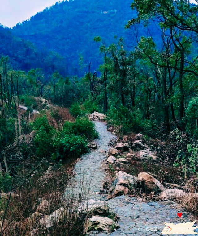 景点:桃花岭景区