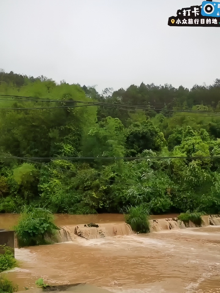 大雨过后，万物都显得生机勃勃。绿叶更加翠绿，花朵更加娇艳，让人感受到大自然的魅力。#小众发现社 #美