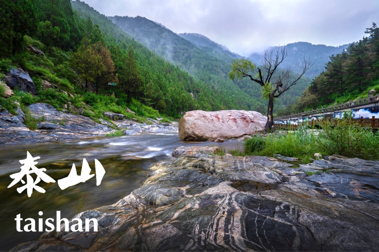 南天门宾馆-餐厅