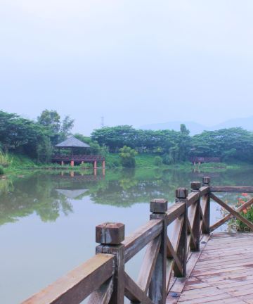 三亚海棠湾洲际度假酒店图片