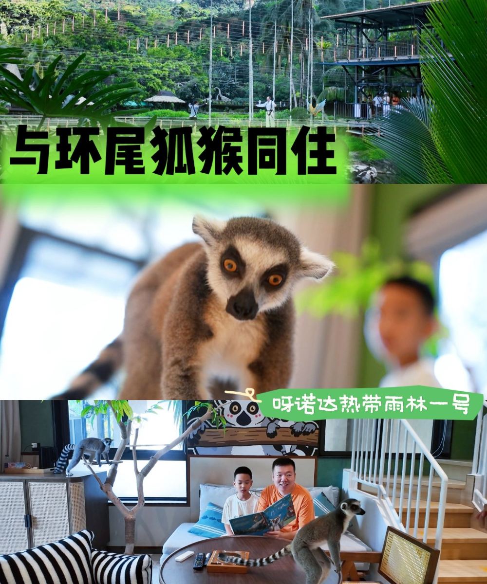 呀诺达旅游区雨林一号度假酒店图片