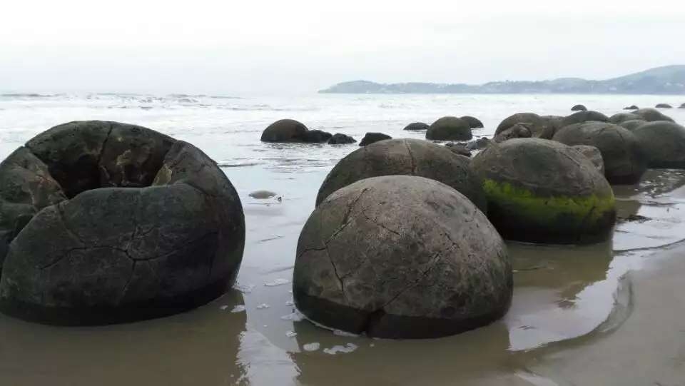 Moeraki boulders摩拉基大圆石， 说是石头，不如说是巨型石蛋更为贴切。其形状之圆，内结
