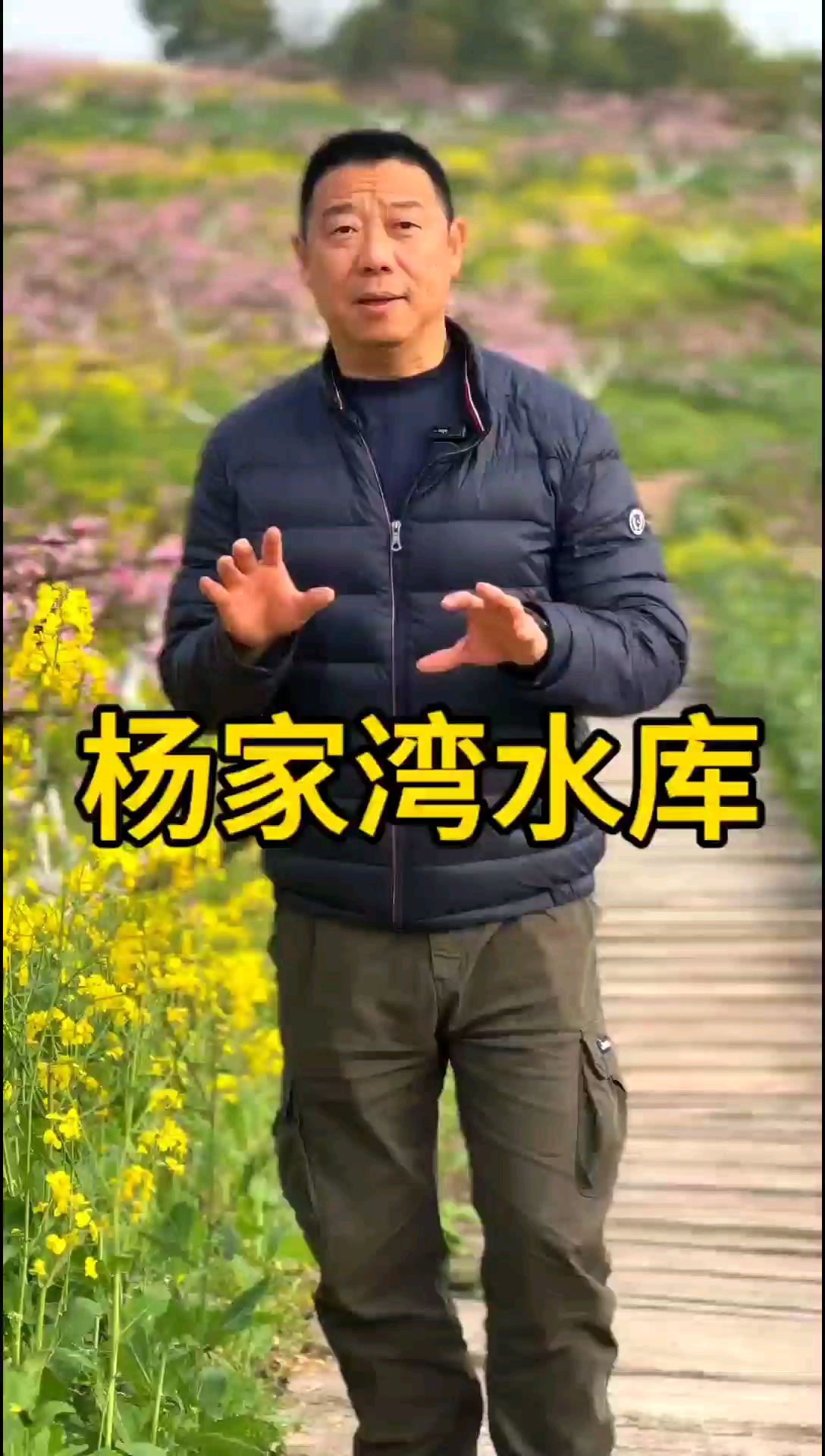 李花桃花油菜花