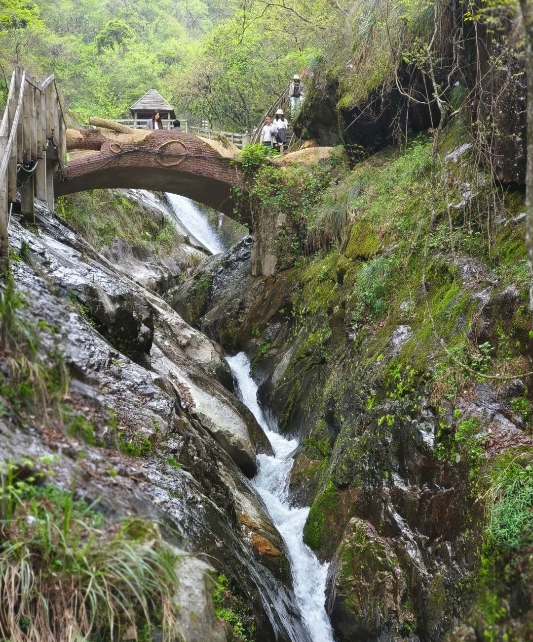 见山见水见春天