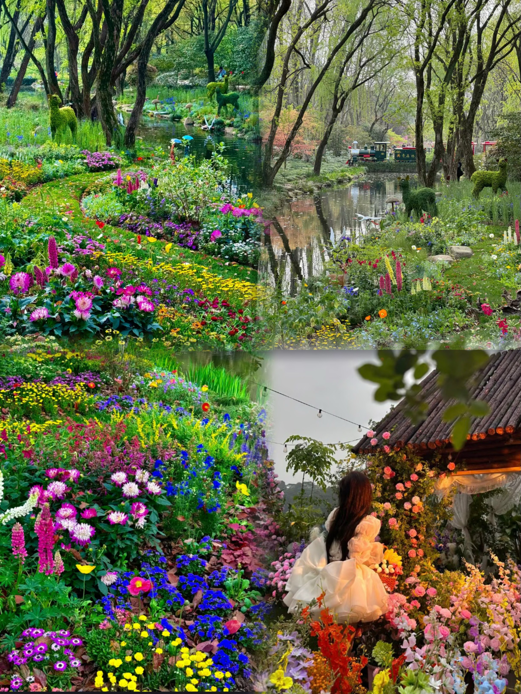郑州周边游 | 现实版莫奈公园，拍照真的美哭了💕