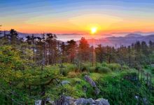 陕西汉中朱鹮国家级自然保护区景点图片
