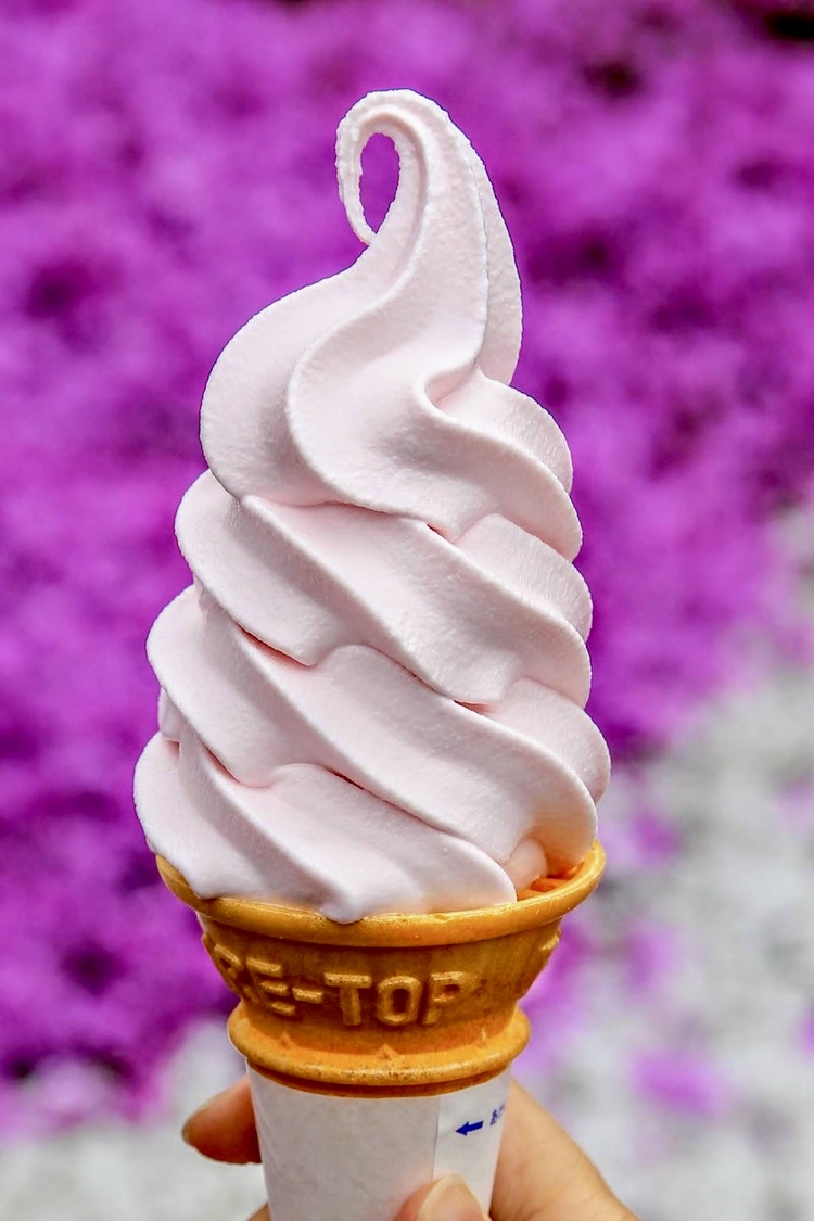 去北海道看芝樱，吃粉色冰淇淋