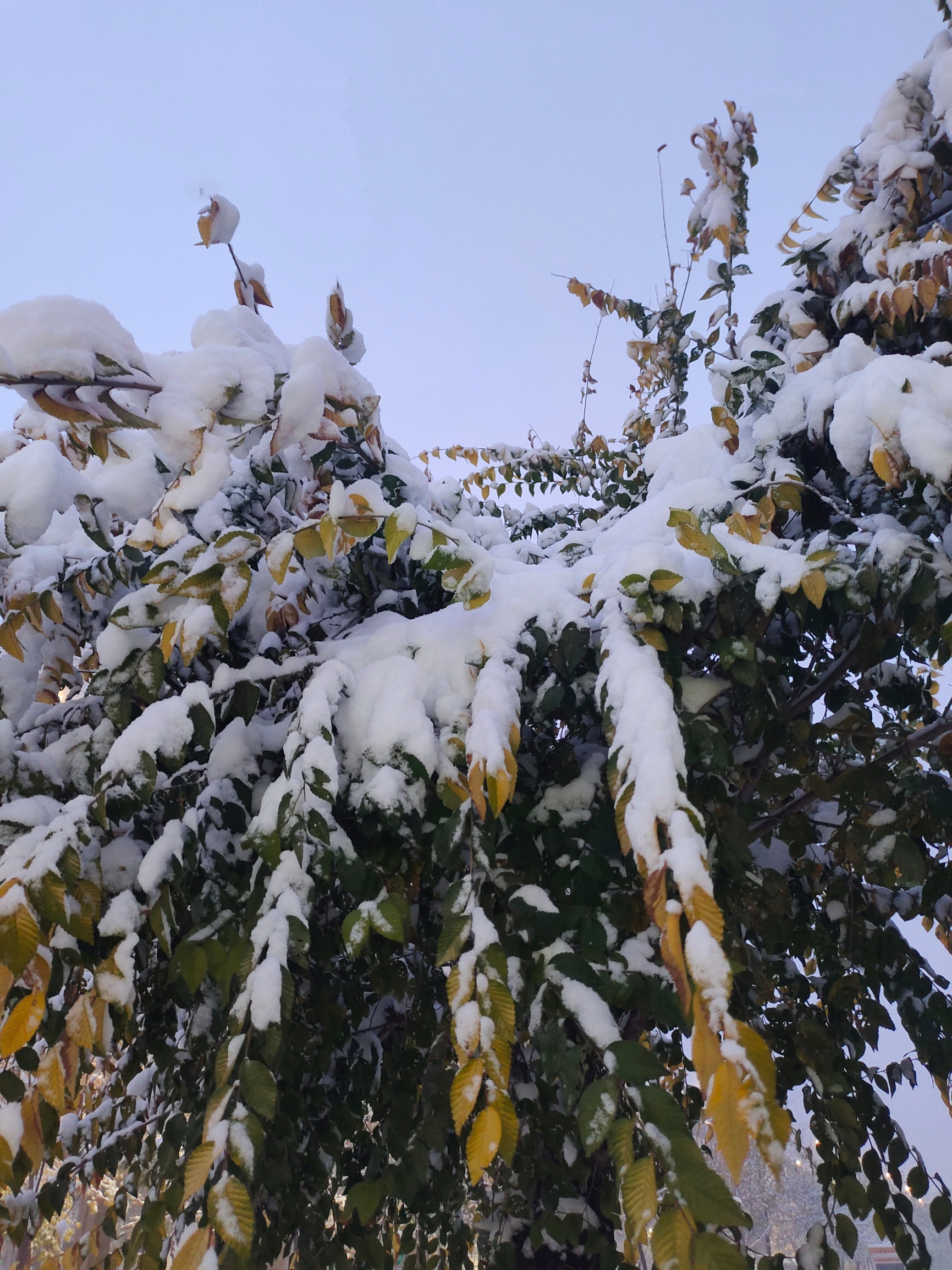 夜幕下的雪景