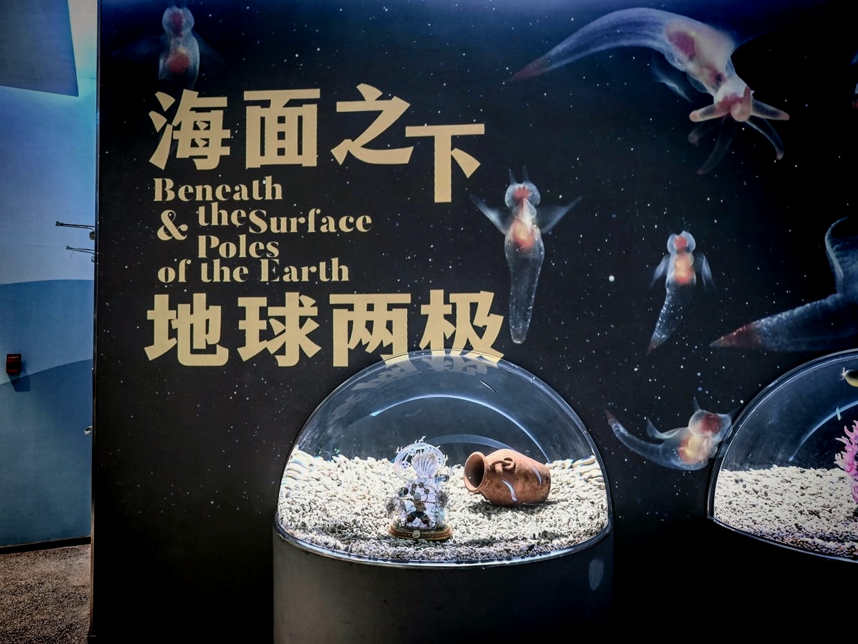 厦门中鱼世界海洋王国🐟游玩攻略 ▪️定位：海上世界购物中心143室 ▪️交通：打车或自驾均可（有停车