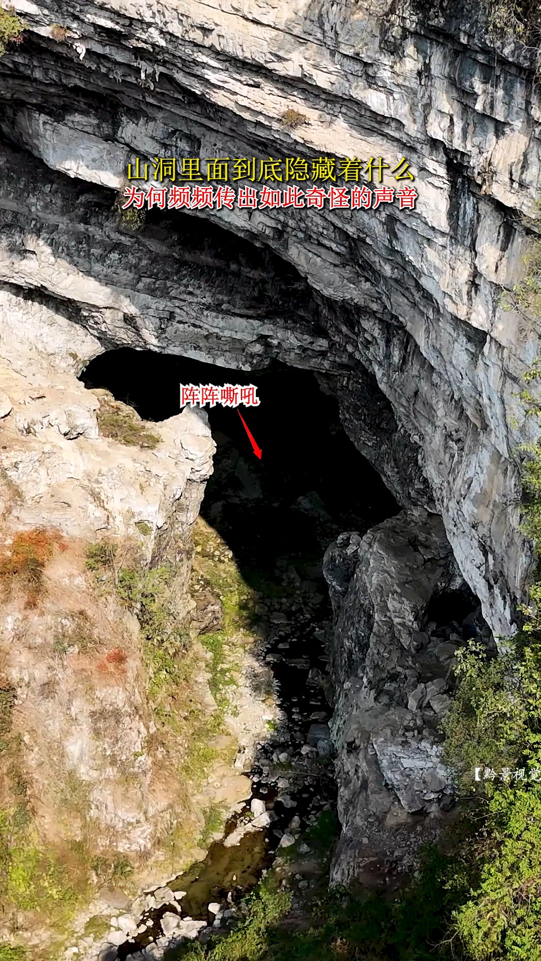 山洞里面到底隐藏着什么？为何频频发出如此奇怪的声音？#神秘#山洞到底藏着什么 #不可思议
