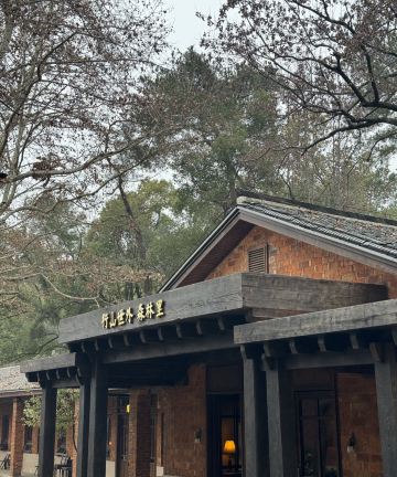 景德镇行山世外·森林里图片