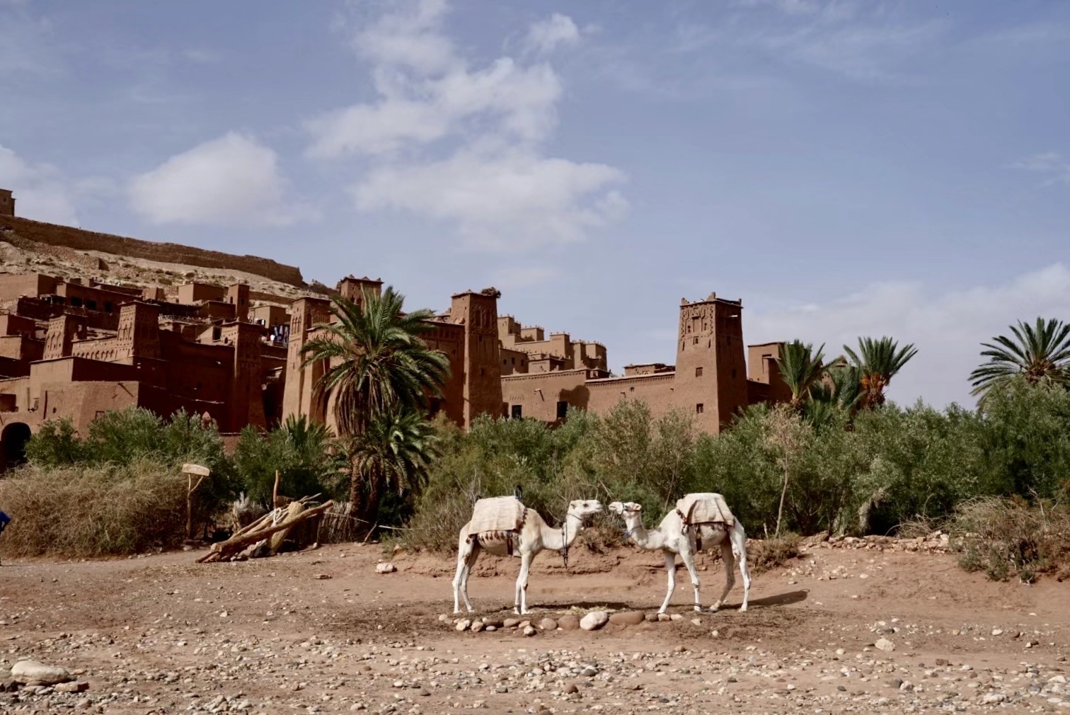 摩洛哥迷人之旅：D5 阿伊特本哈杜