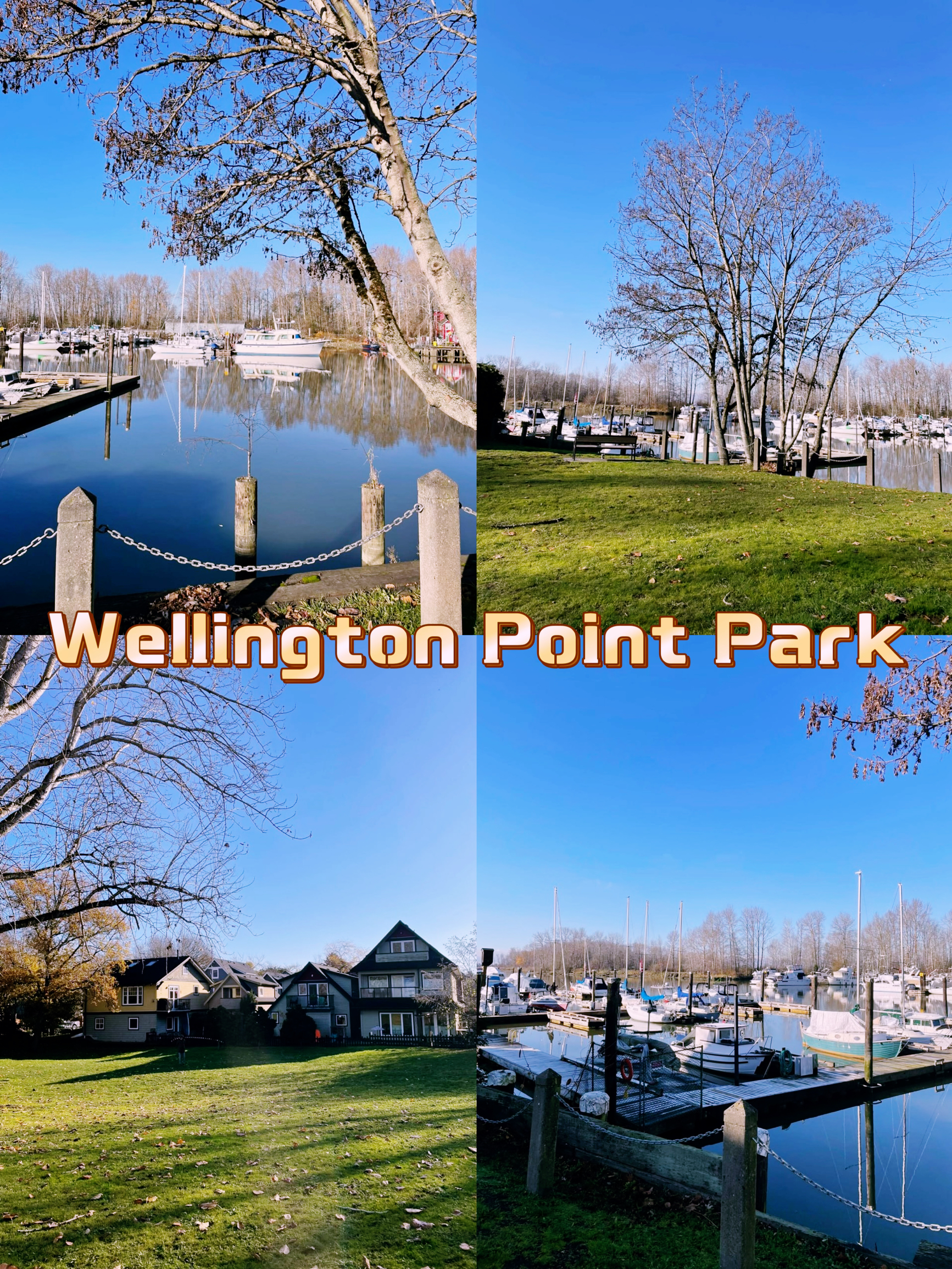 探寻天堂之门！Wellington Point Park