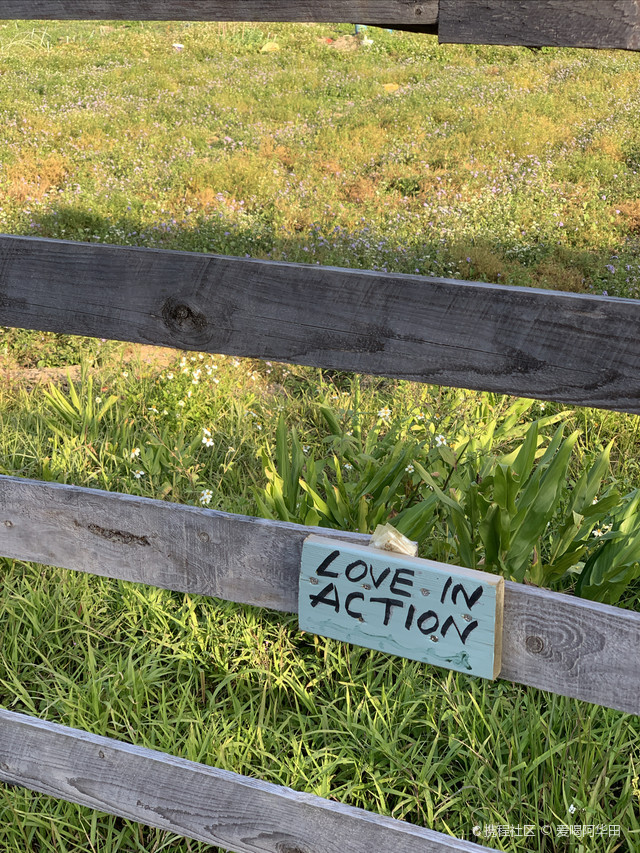 中山五桂山旗溪村|体验治愈"菊次郎的夏天"