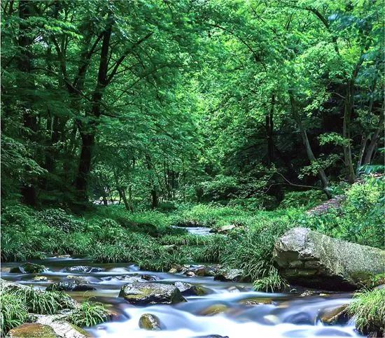 大热荒野露营地·烤肉·酒吧·户外(武陵源店)
