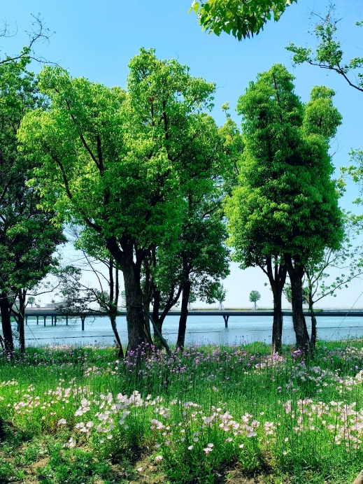 元荡小馆(元荡湖店)