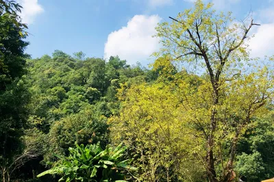 霖溪林风景区