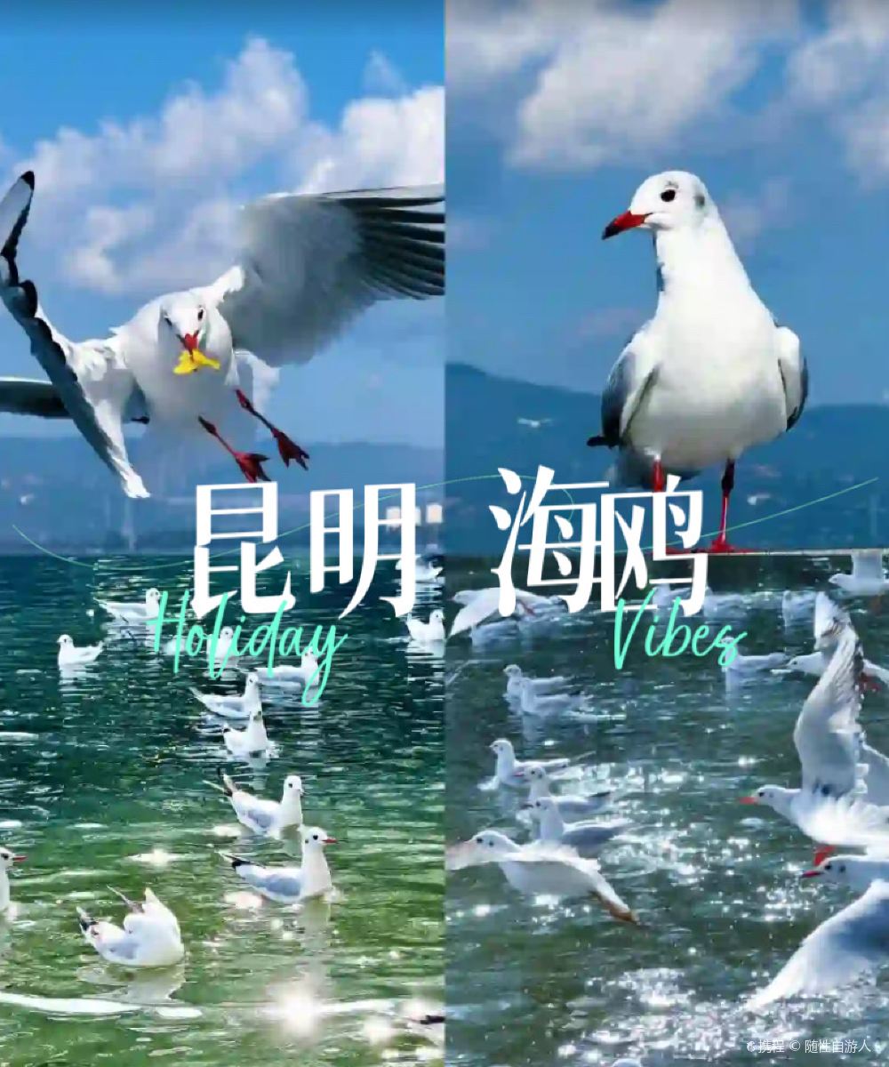 花筑·昆明云上轩民宿(滇池海埂大坝店)图片