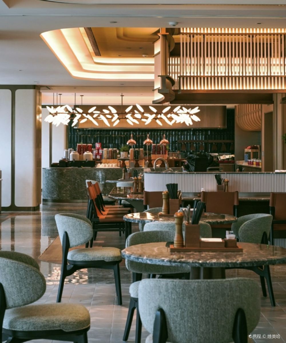 重庆中央公园希尔顿花园酒店图片