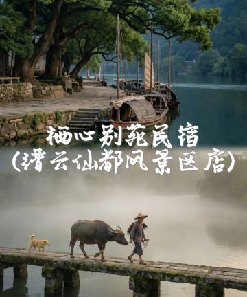 栖心别苑·Premium|美学空间仙踪泳池美宿(缙云仙都风景区店)图片