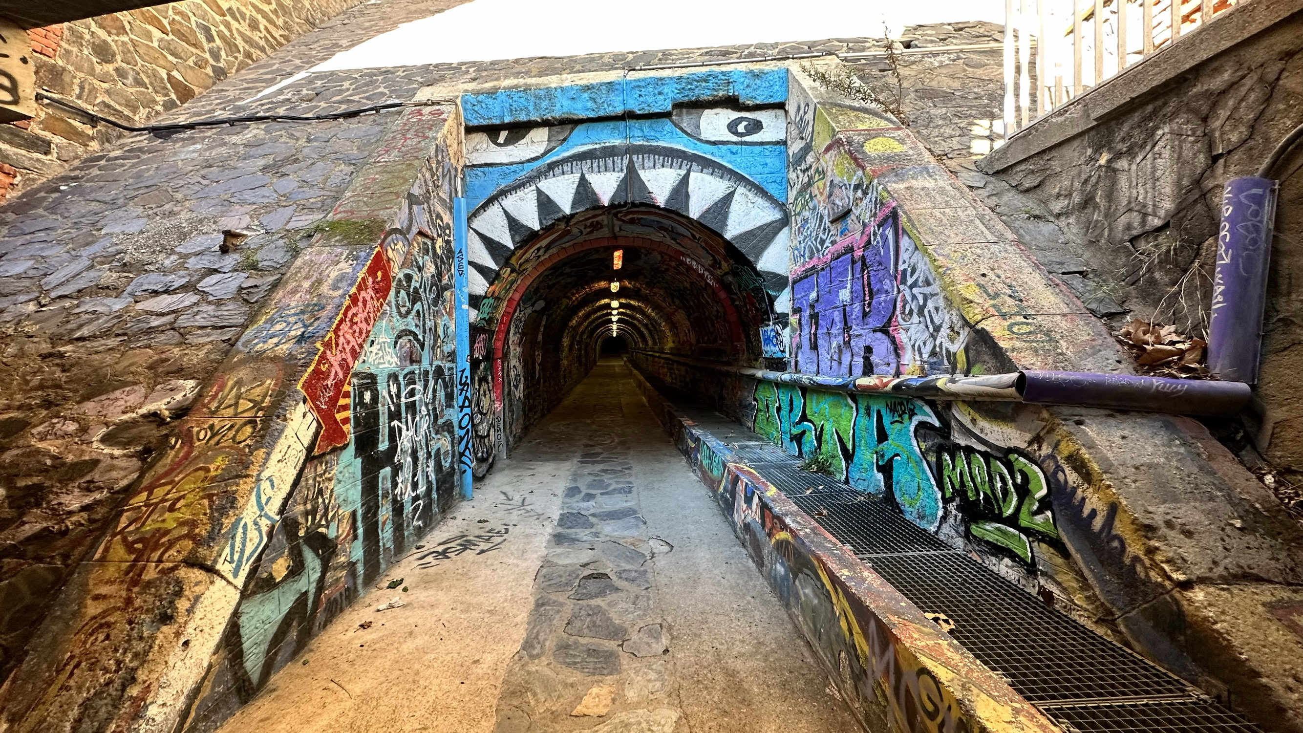 涂鸦隧道Tunnel de la Gare à la Pla