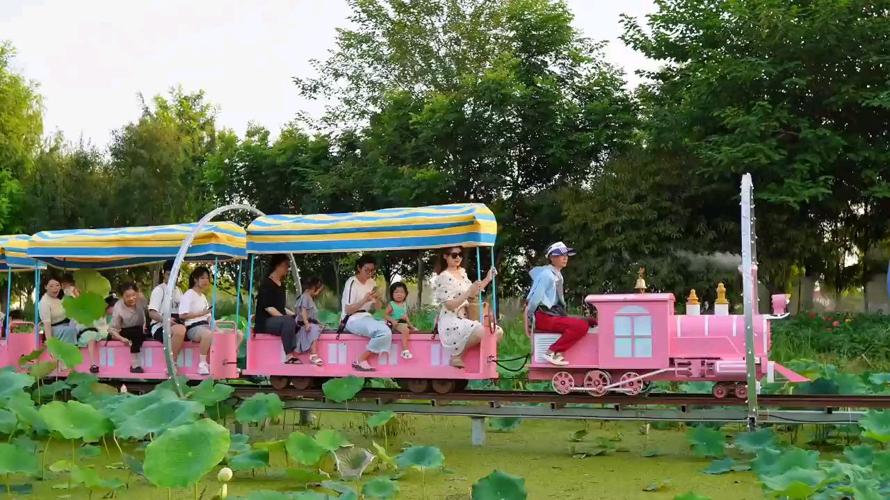 获嘉县花田荷风小火车乐园