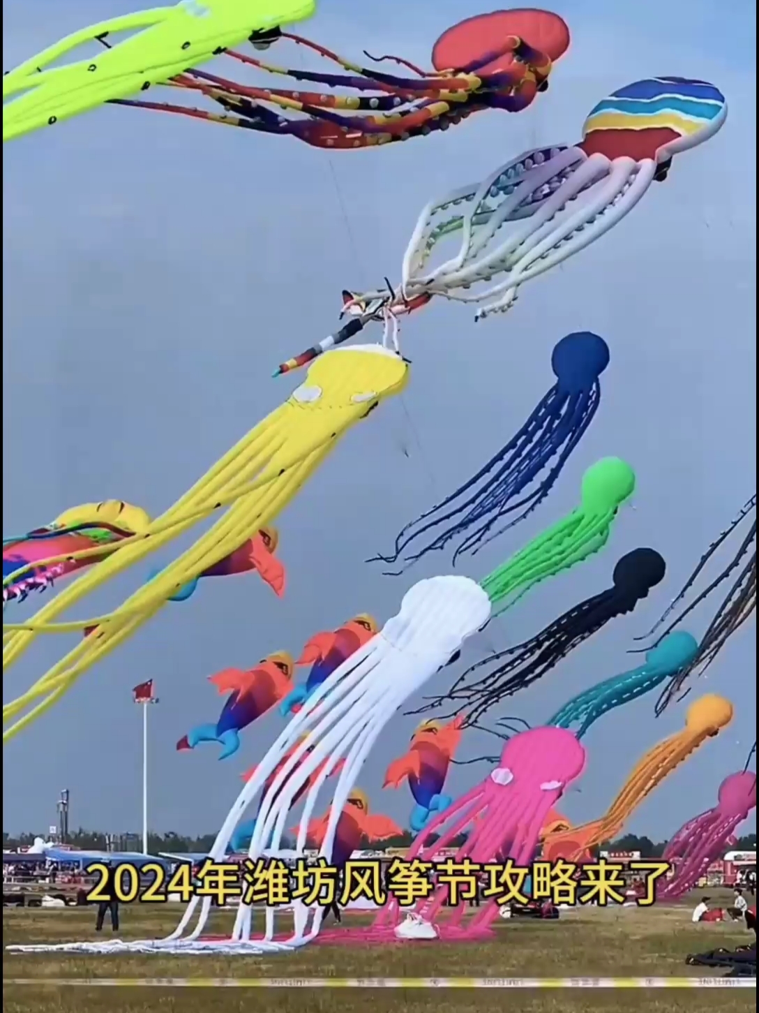2024年潍坊风筝攻略来了，收藏起来早约票可以免费看风筝会喽！#潍坊风筝节