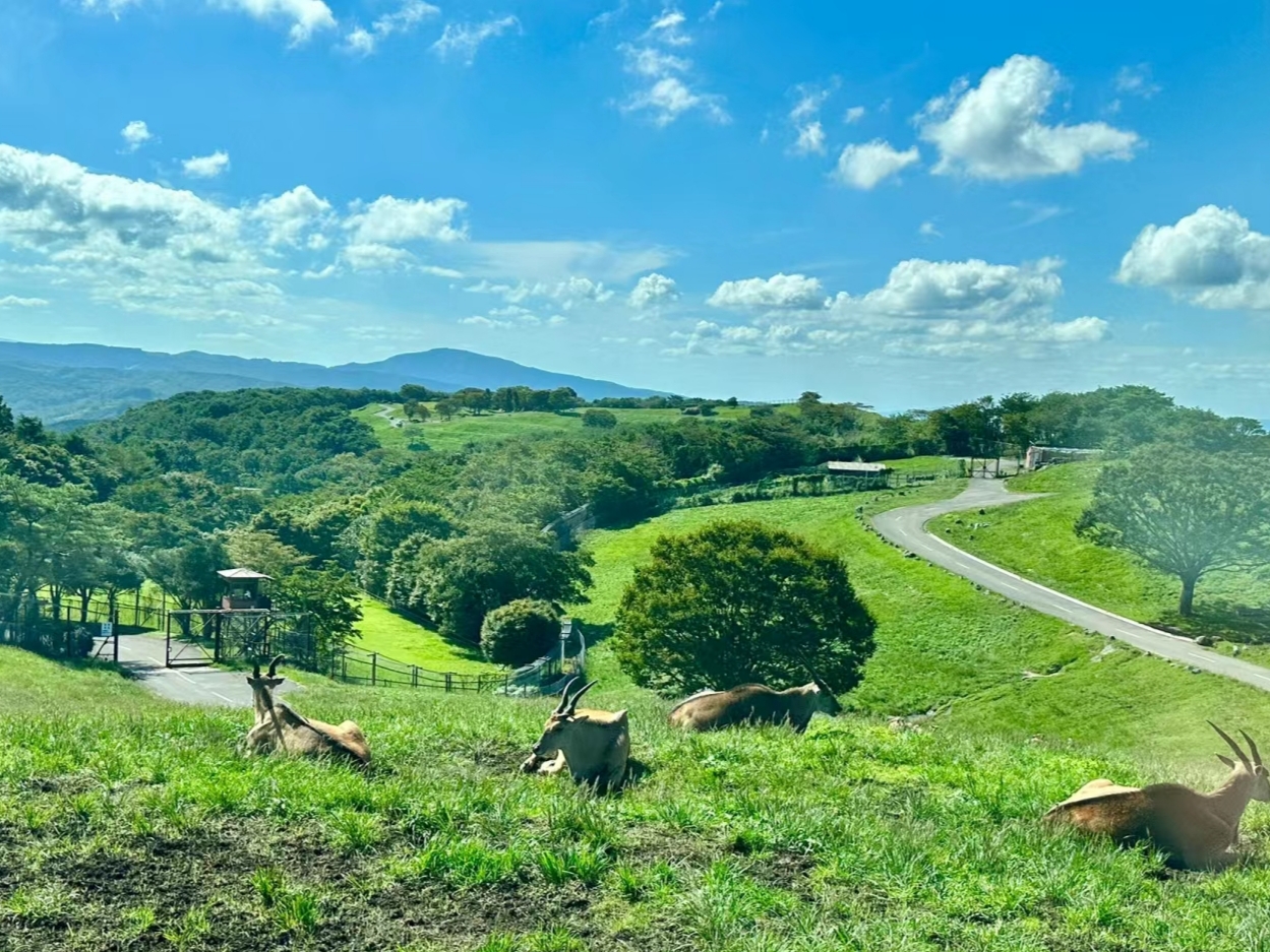 日本九州大分县的风景