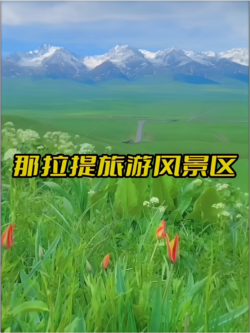 那拉提旅游风景区