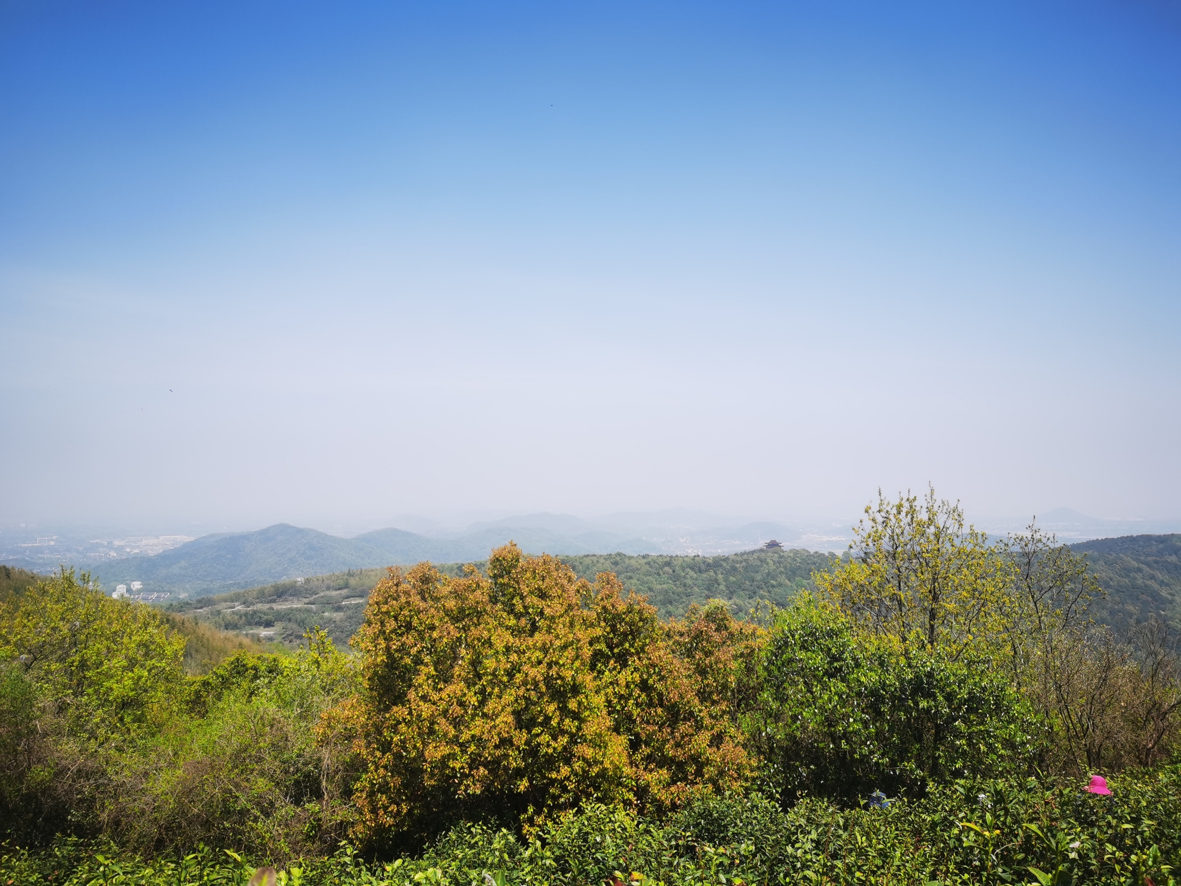 浙江嘉兴主要还是以平原地为主，山都不高。高阳山作为其最高的山峰，海拔只有几百米，爬起来也很容易。但是