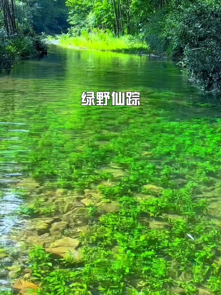 绿野仙踪这个地方的景色太美啦，治愈系的那种