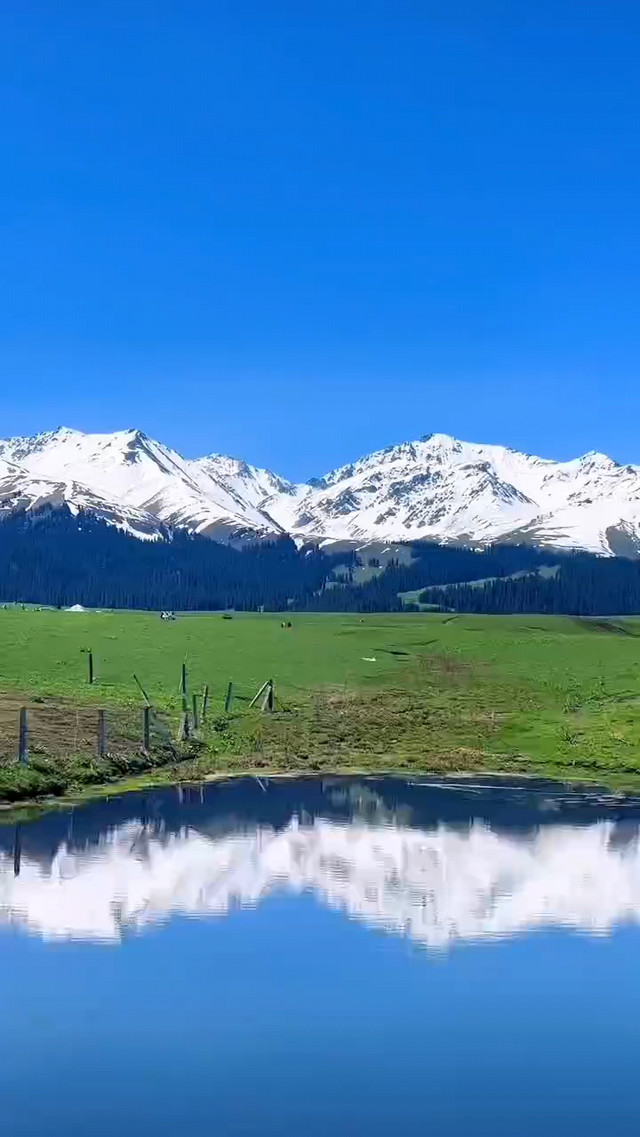 “Binance Casino - 领先的