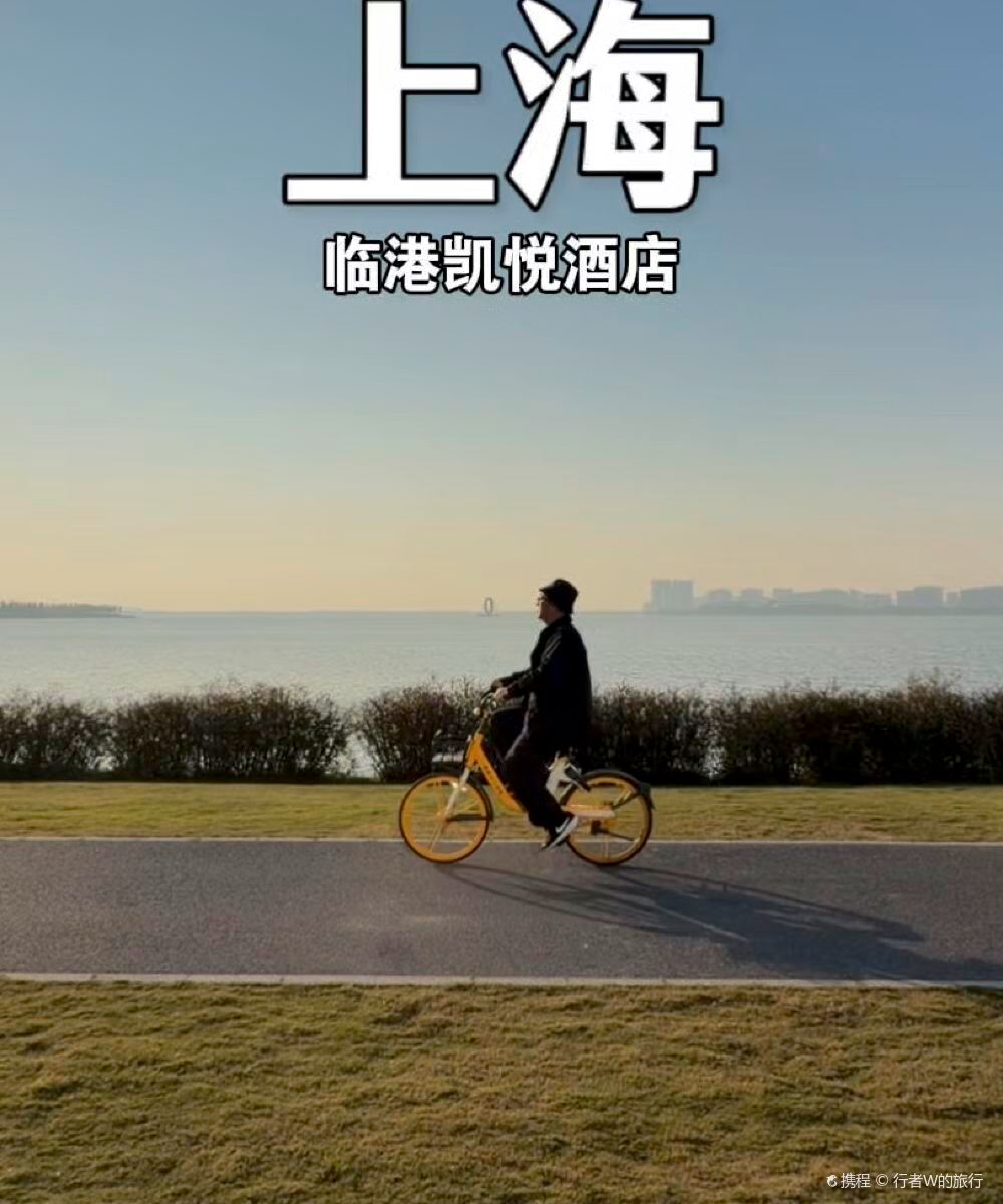 上海临港凯悦酒店图片