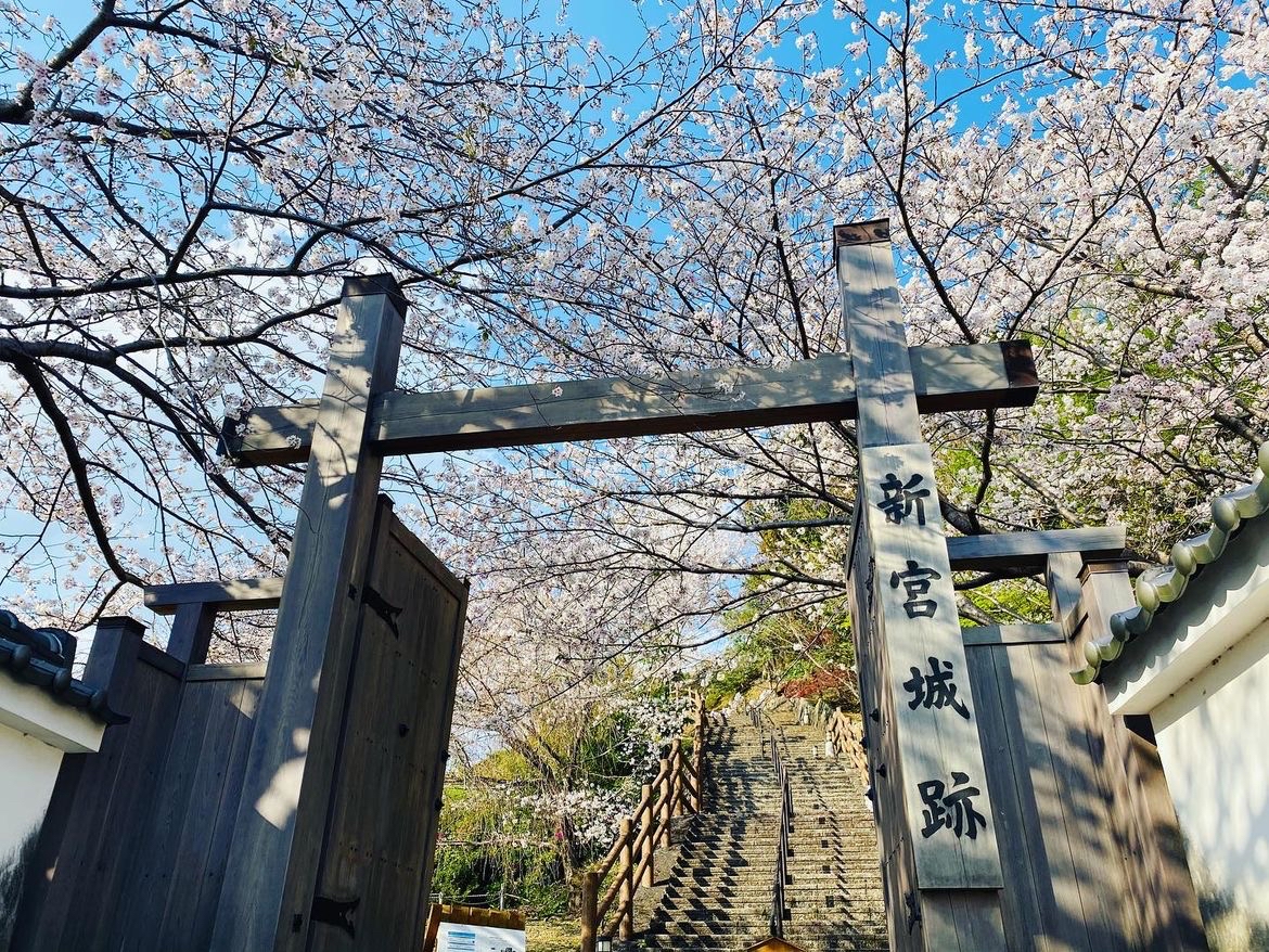 标题：🏰【历史的守望者】丹鹤城公园🌸- 日本的古城遗迹与自然美景融为一体🍁  内容概览：  丹鹤城公