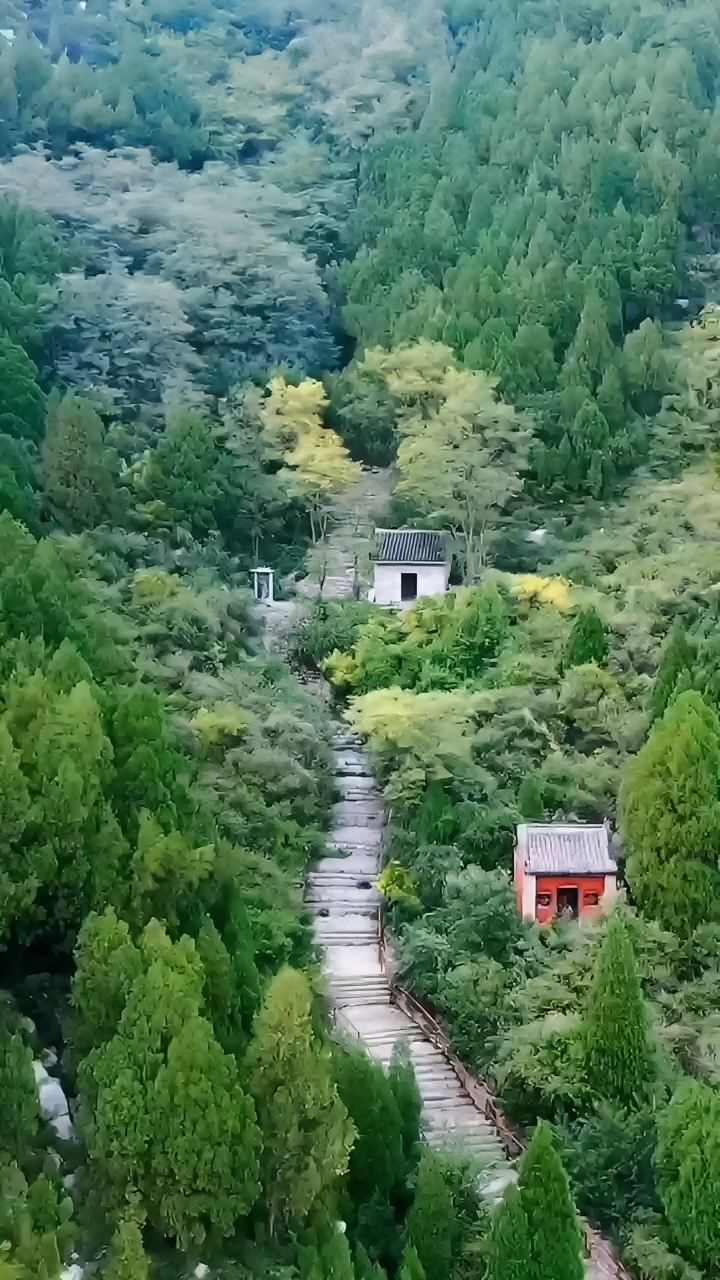 在淄博有一座“小泰山”   淄博烧烤副本