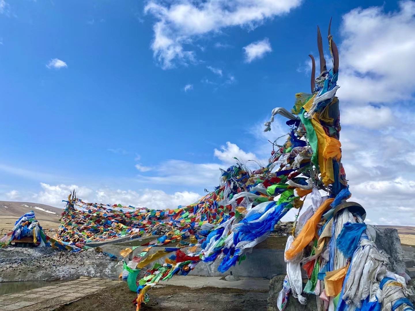 南疆大巴扎餐厅图片