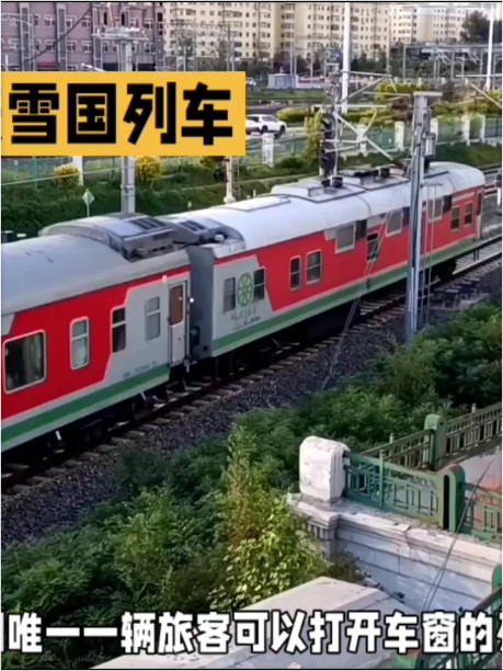 中国最美雪国列车