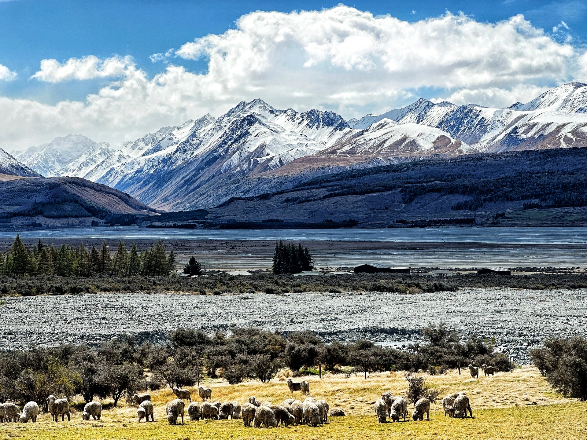 探索新西兰南岛🏞️：你的终极旅游攻略！💫