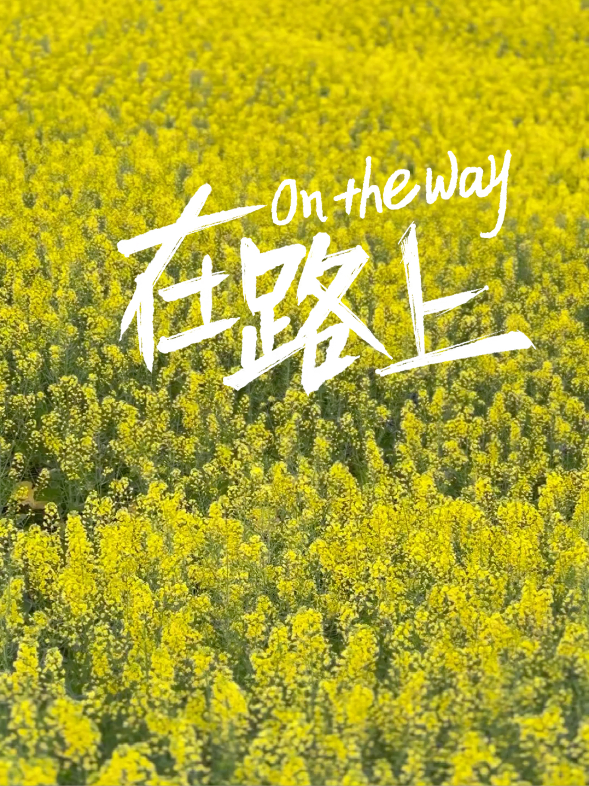 长江对岸菜花黄