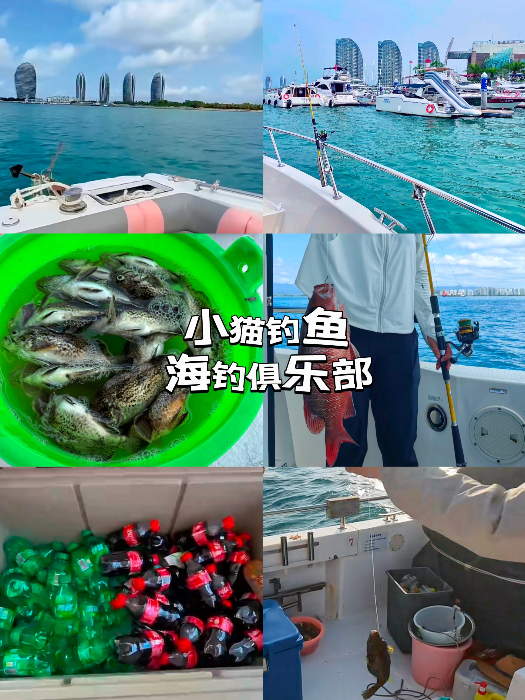 小猫钓鱼海钓俱乐部