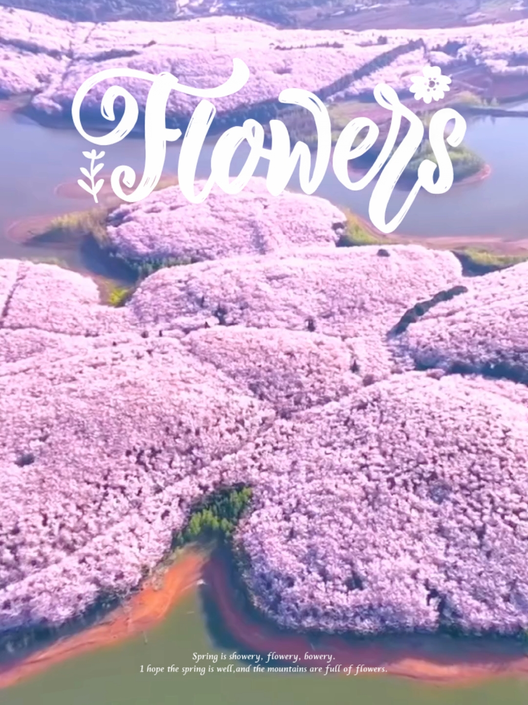 春天和樱花赴一场约吧！