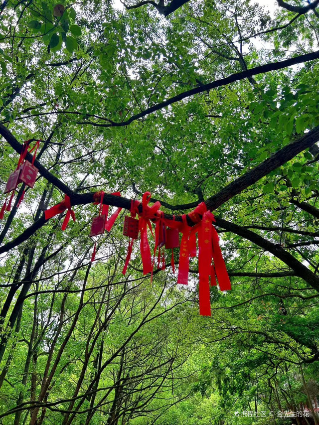 玉泉寺位于湖北省当阳市