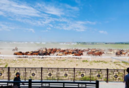 太仆寺御马苑旅游区景点图片