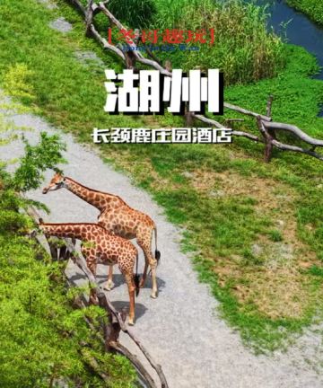 湖州长颈鹿庄园酒店图片