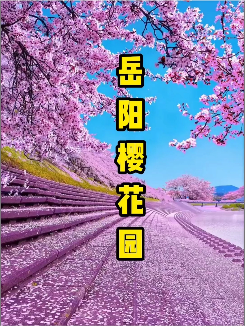 岳阳樱花园