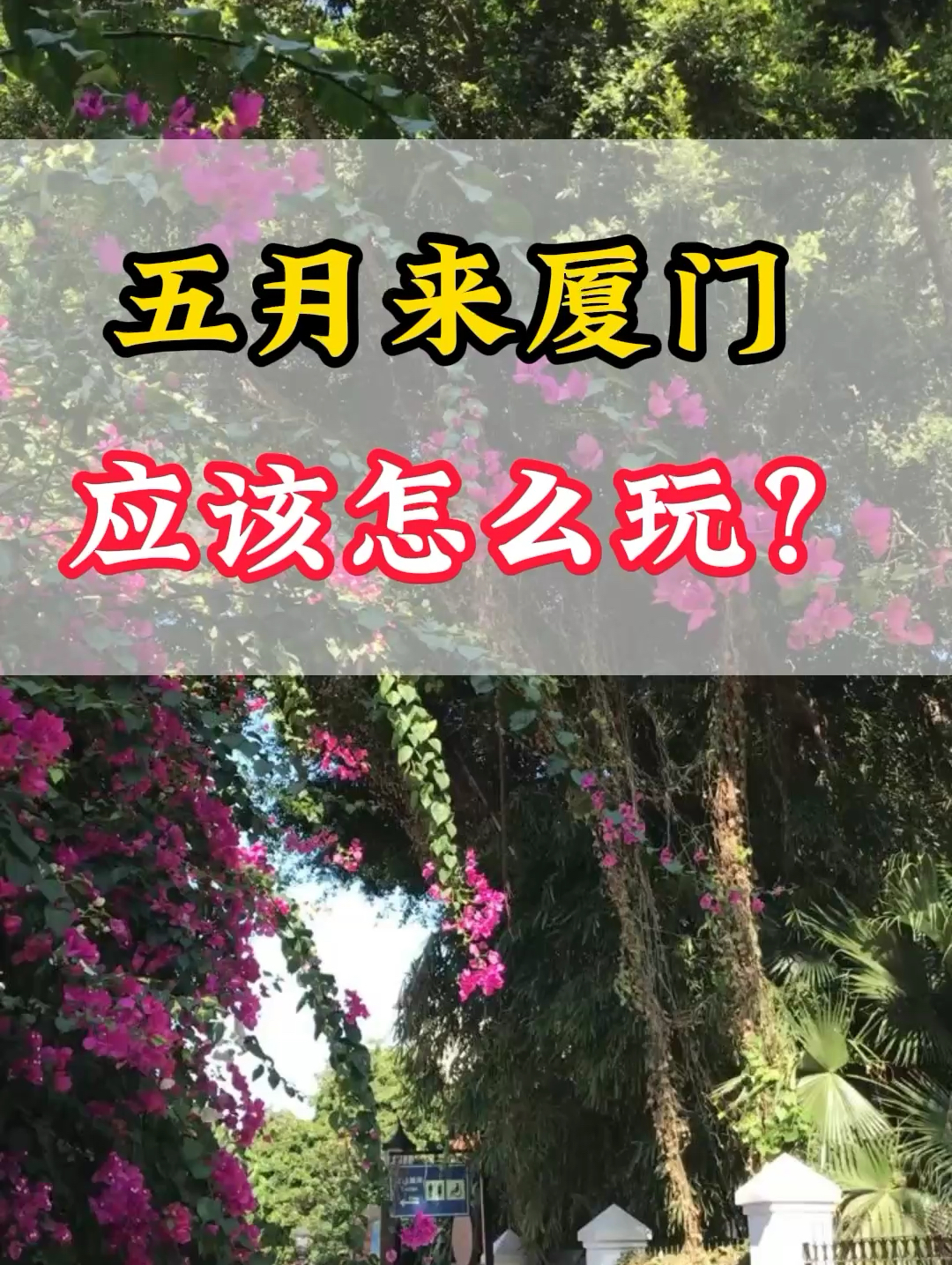 五月来厦门，应该怎么玩？需要多少预算