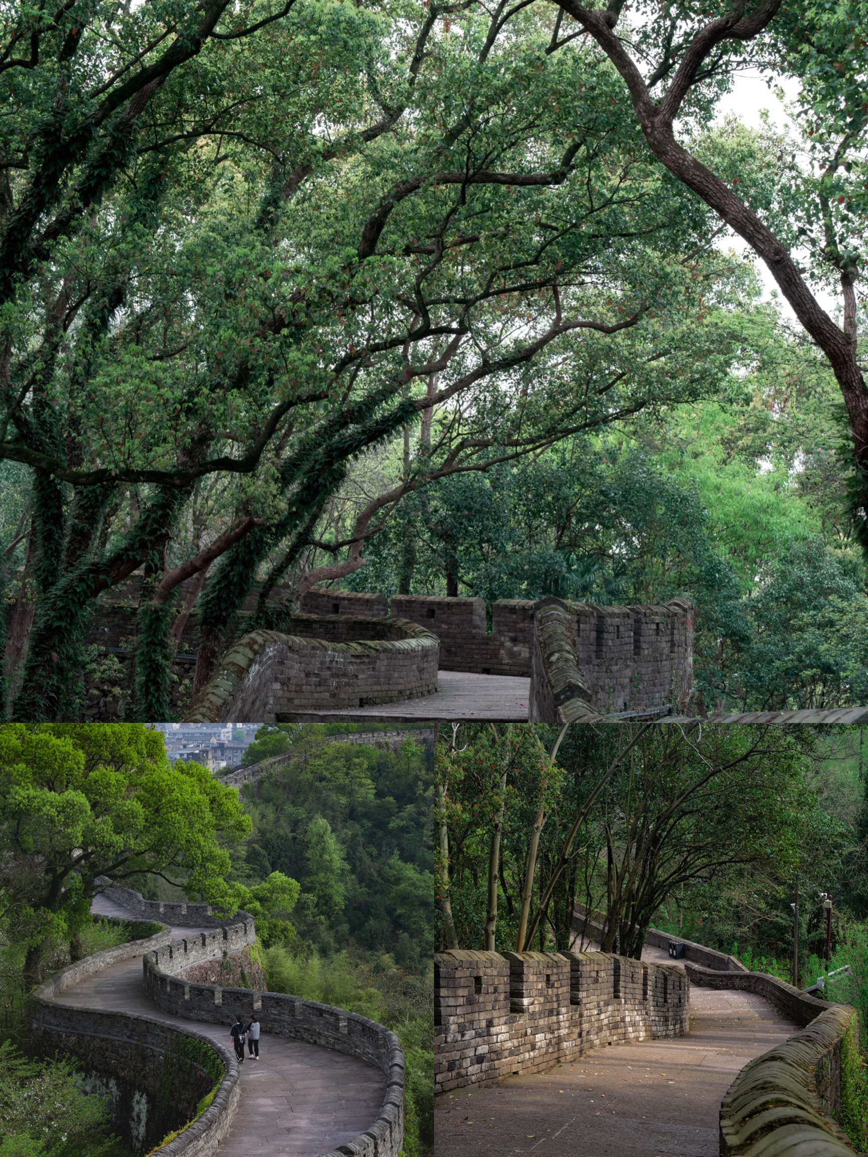 🌟【五一假期来临海，开启你的糯叽叽之旅】🌟