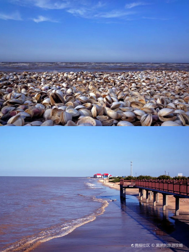 无棣贝壳堤岛是国家 aaaa 级旅游景区,位于山东省滨州市无棣县.